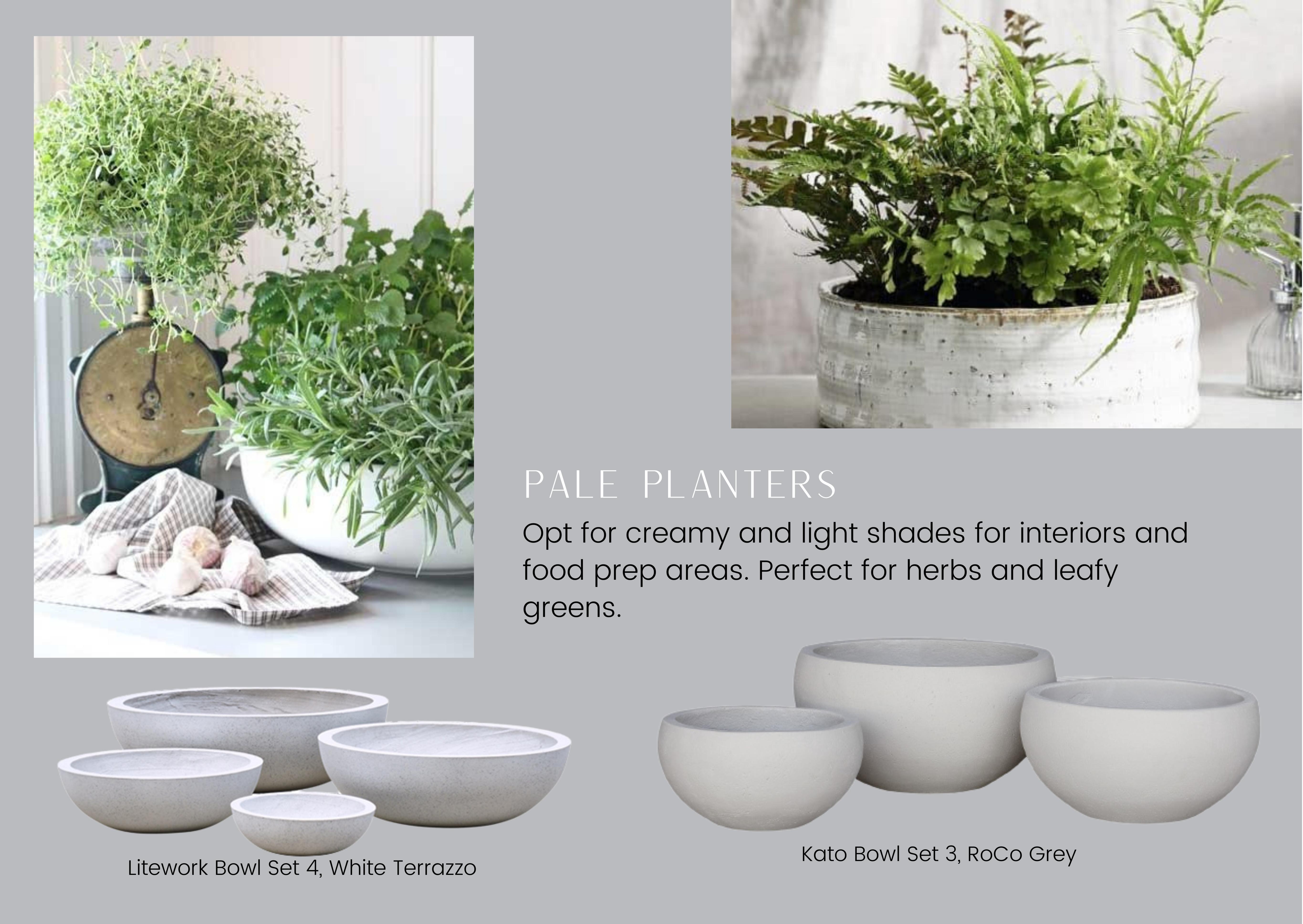 Page 2 Pale Planters